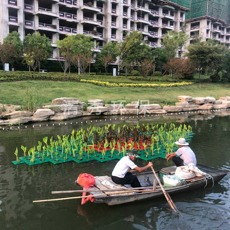 濟寧微山小新河